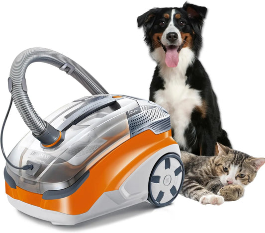 Polsterreiniger und Waschsauger, PET, 1700W, für Teppiche und Polster