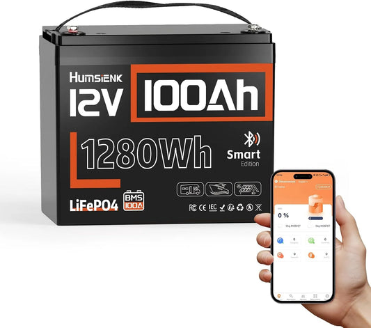 LiFePO4 LiFePO4-Batterie und Solar-Speicherbatterie, 100Ah, solarbetrieben, mit BMS, mit Bluetooth, 1280Wh, 12V